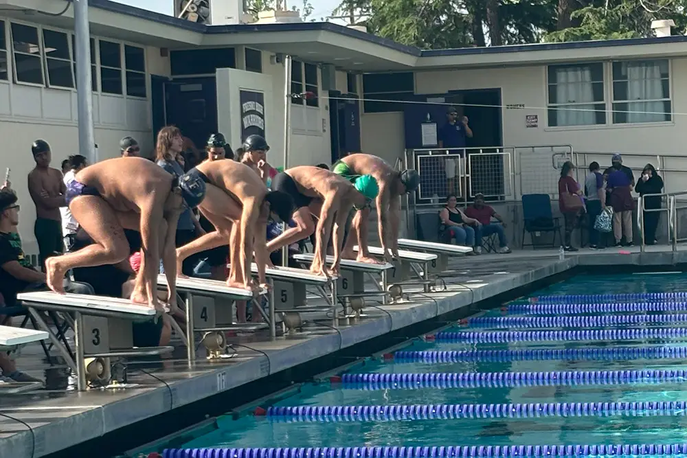 Etalons Garçons Natation